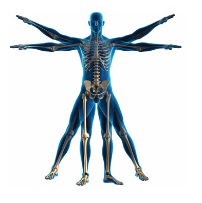 Kinesiología